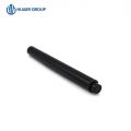 Stylo Gel Blanchissant les Dents
